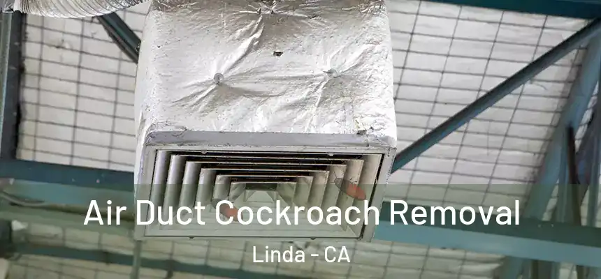  Air Duct Cockroach Removal Linda - CA