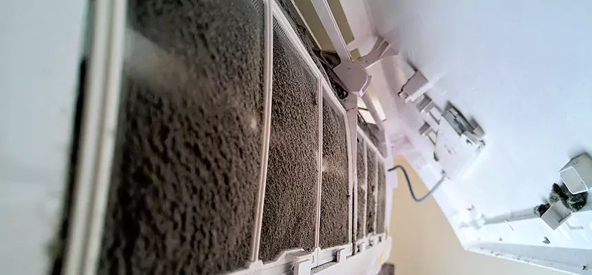 Preventive Air Duct Bacteria Removal in Linda