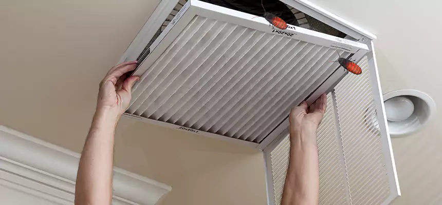 Preventive Cockroach-Proofing for Ducts in Linda