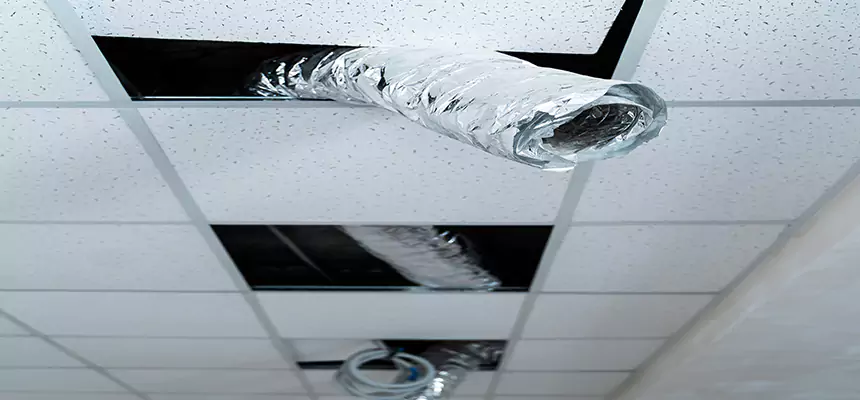 Affordable HVAC Sanitizing After Pest Removal in Linda