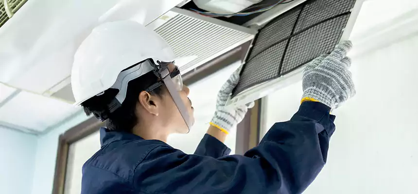 Our Mold & Mildew Removal from Air Ducts Services in Linda, CA