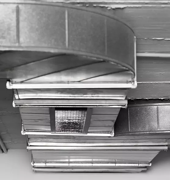 Professional Air Duct Pest Removal in Linda, CA