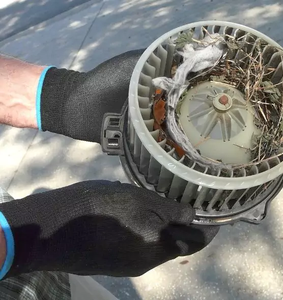 About Air Duct Rat Removal in Linda, CA