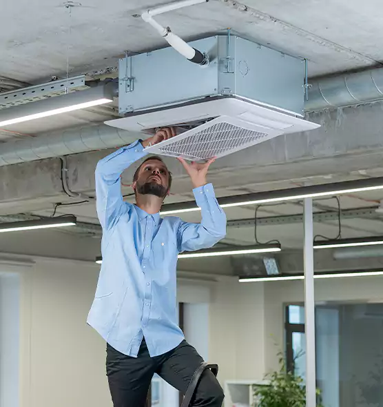 Advanced Rodent Droppings In Vents in Linda, CA