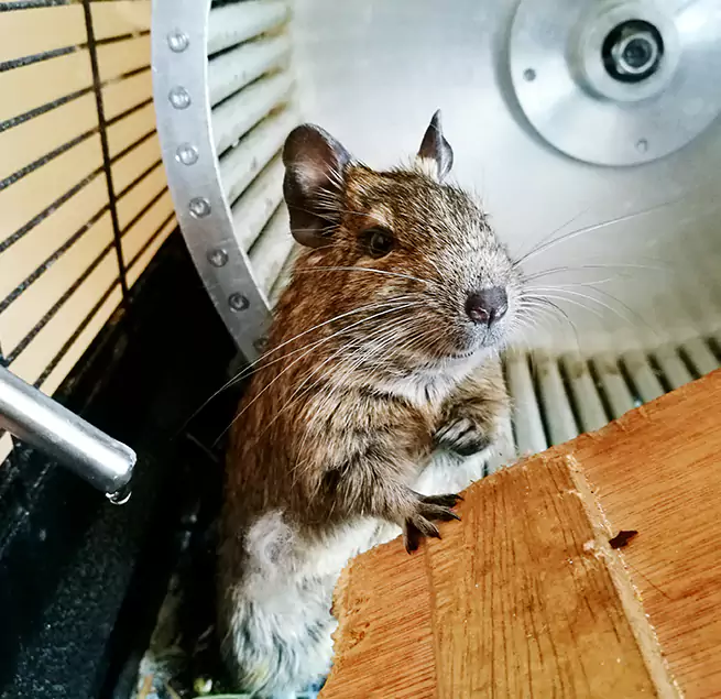 Why Homeowners & Businesses Trust Us Linda, CA