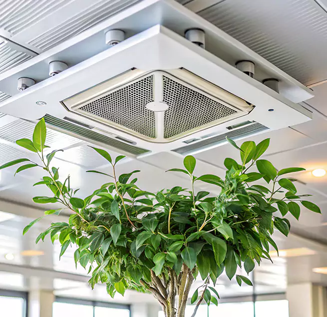 Why Homeowners & Businesses Trust Us in Linda, CA?