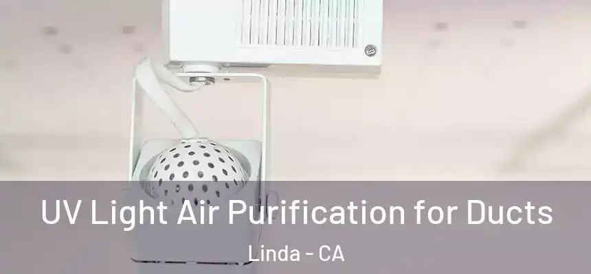  UV Light Air Purification for Ducts Linda - CA